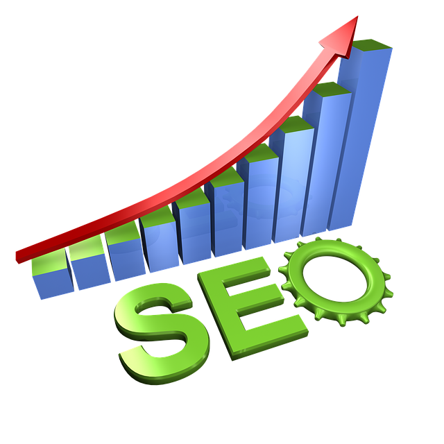 SEO company India